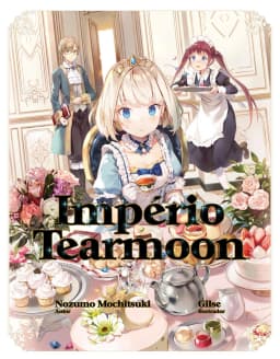 Novel Cover