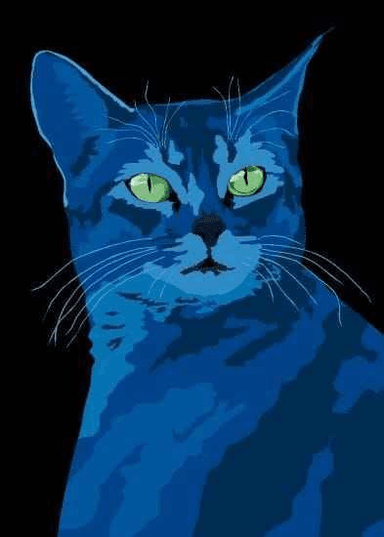 Foto de perfil de Pietro da Silva Correa